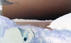 ©celine burnand genesis galerie odile vevey