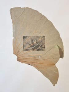 essenza benoit billotte galerie odile vevey