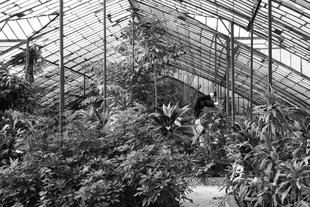 human nature I -celine-burnand galerie odile vevey